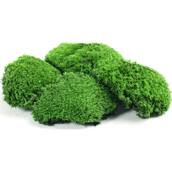 Dekorační stabilizovaný mech kopečkový 0,35 kg, přírod. tm. zelený (bochánky)
