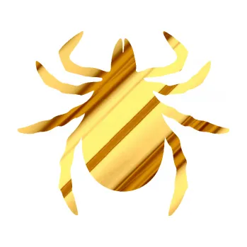 Samolepící dekorace Klíště 001 (81 - chrom fólie zlatá zrcadlová) SAMOLEPKA NA AUTO, NÁLEPKA, FÓLIE, POLEP, TUNING, VLASTNÍ TEXT, TISK, AUTOSAMOLEPKY.cz, POLEPY, OBRÁZEK, LOGO, 3D STICKERS