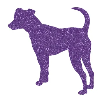 Polep vozidla SAMOLEPKA Pes 098 levá Pražský krysařík (87 - Ultra Metalic fialová) NA AUTO, NÁLEPKA, FÓLIE, POLEP, TUNING, VLASTNÍ TEXT, TISK, AUTOSAMOLEPKY.cz, POLEPY, OBRÁZEK, LOGO, SAMOLEPKY