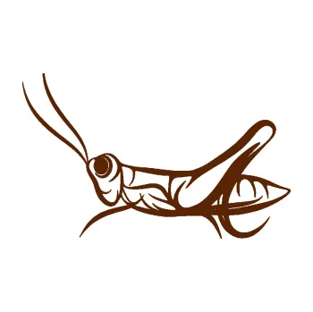 Samolepící dekorace SAMOLEPKA Kobylka 001 levá (15 - hnědá) NA AUTO, NÁLEPKA, FÓLIE, POLEP, TUNING, VLASTNÍ TEXT, TISK, AUTOSAMOLEPKY.cz, POLEPY, OBRÁZEK, LOGO, SAMOLEPKY