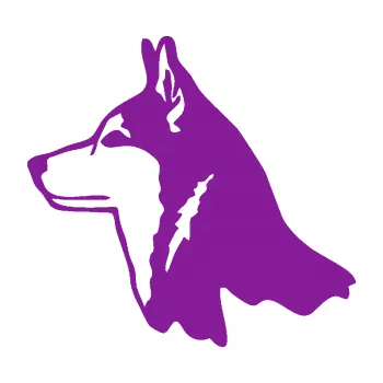 Polep vozidla Pes 096 levá Husky (14 - fialová) SAMOLEPKA NA AUTO, NÁLEPKA, FÓLIE, POLEP, TUNING, VLASTNÍ TEXT, TISK, AUTOSAMOLEPKY.cz, POLEPY, OBRÁZEK, LOGO, 3D STICKERS