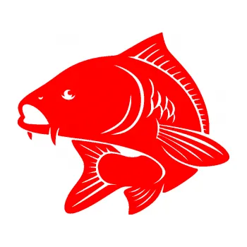 Polep vozidla SAMOLEPKA Kapr 008 levá (74 - Fluorescentní červená) NA AUTO, NÁLEPKA, FÓLIE, POLEP, TUNING, VLASTNÍ TEXT, TISK, AUTOSAMOLEPKY.cz, POLEPY, OBRÁZEK, LOGO, SAMOLEPKY