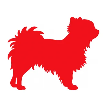 Polep vozidla SAMOLEPKA Pes 156 pravá čivava (10 - červená) NA AUTO, NÁLEPKA, FÓLIE, POLEP, TUNING, VLASTNÍ TEXT, TISK, AUTOSAMOLEPKY.cz, POLEPY, OBRÁZEK, LOGO, SAMOLEPKY