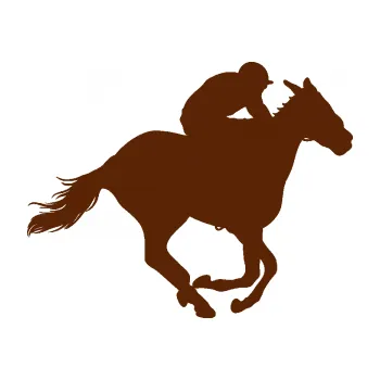 Samolepící dekorace Kůň 035 pravá (15 - hnědá) SAMOLEPKA NA AUTO, NÁLEPKA, FÓLIE, POLEP, TUNING, VLASTNÍ TEXT, TISK, AUTOSAMOLEPKY.cz, POLEPY, OBRÁZEK, LOGO, 3D STICKERS