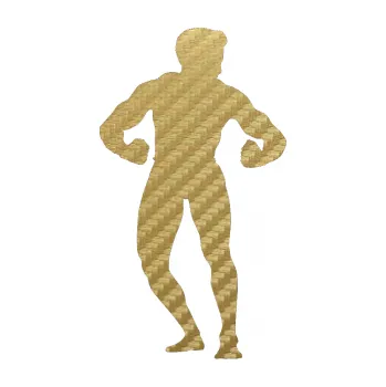 Polep vozidla SAMOLEPKA Kulturista 011 pravá (59 - 3D karbon zlatý) NA AUTO, NÁLEPKA, FÓLIE, POLEP, TUNING, VLASTNÍ TEXT, TISK, AUTOSAMOLEPKY.cz, POLEPY, OBRÁZEK, LOGO, SAMOLEPKY