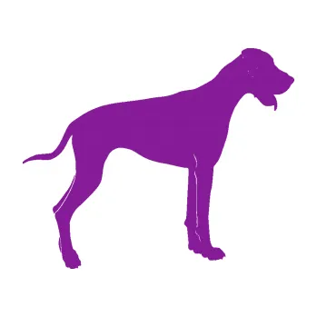 Polep vozidla SAMOLEPKA Pes 086 pravá Doga (14 - fialová) NA AUTO, NÁLEPKA, FÓLIE, POLEP, TUNING, VLASTNÍ TEXT, TISK, AUTOSAMOLEPKY.cz, POLEPY, OBRÁZEK, LOGO, SAMOLEPKY