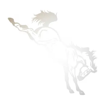 Samolepící dekorace SAMOLEPKA Kůň 052 pravá vykopává zadní nohy (82 - odrazková reflexní bílá) NA AUTO, NÁLEPKA, FÓLIE, POLEP, TUNING, VLASTNÍ TEXT, TISK, AUTOSAMOLEPKY.cz, POLEPY, OBRÁZEK, LOGO, SAMOLEPKY