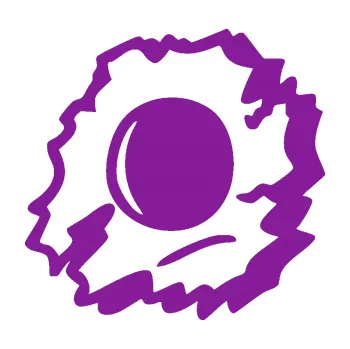 Samolepící dekorace SAMOLEPKA Průstřel 002 levá (14 - fialová) NA AUTO, NÁLEPKA, FÓLIE, POLEP, TUNING, VLASTNÍ TEXT, TISK, AUTOSAMOLEPKY.cz, POLEPY, OBRÁZEK, LOGO, SAMOLEPKY