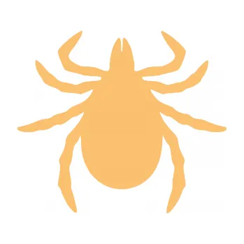 Samolepící dekorace Klíště 001 (08 - béžová) SAMOLEPKA NA AUTO, NÁLEPKA, FÓLIE, POLEP, TUNING, VLASTNÍ TEXT, TISK, AUTOSAMOLEPKY.cz, POLEPY, OBRÁZEK, LOGO, 3D STICKERS