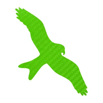 Samolepící dekorace SAMOLEPKA Dravec na sklo 002 pravá (58 - 3D karbon zelený kawasaki) NA AUTO, NÁLEPKA, FÓLIE, POLEP, TUNING, VLASTNÍ TEXT, TISK, AUTOSAMOLEPKY.cz, POLEPY, OBRÁZEK, LOGO, SAMOLEPKY