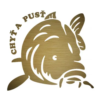 Polep vozidla SAMOLEPKA Kapr 004 chyť a pusť pravá (64 - škrábaný kov zlatý) NA AUTO, NÁLEPKA, FÓLIE, POLEP, TUNING, VLASTNÍ TEXT, TISK, AUTOSAMOLEPKY.cz, POLEPY, OBRÁZEK, LOGO, SAMOLEPKY