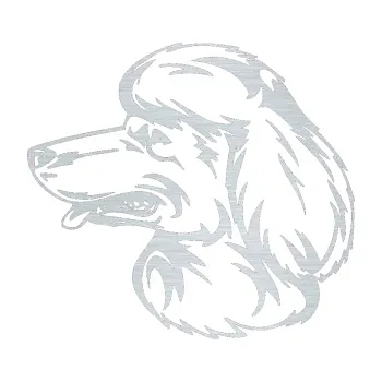 samolepka Pes 013 levá Pudl (61 - škrábaný hliník) SAMOLEPKA NA AUTO, NÁLEPKA, FÓLIE, POLEP, TUNING, VLASTNÍ TEXT, TISK, AUTOSAMOLEPKY.cz, POLEPY, OBRÁZEK, LOGO, 3D STICKERS