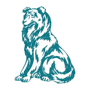 samolepka Pes 037 levá Kolie (92 - Ultra Metalic tyrkysová) SAMOLEPKA NA AUTO, NÁLEPKA, FÓLIE, POLEP, TUNING, VLASTNÍ TEXT, TISK, AUTOSAMOLEPKY.cz, POLEPY, OBRÁZEK, LOGO, 3D STICKERS