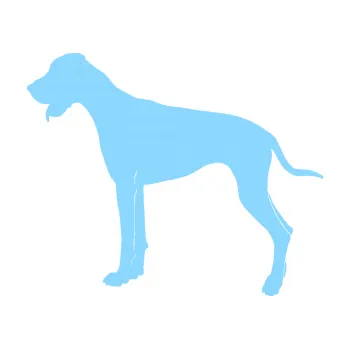 Polep vozidla SAMOLEPKA Pes 086 levá Doga (03 - světle modrá) NA AUTO, NÁLEPKA, FÓLIE, POLEP, TUNING, VLASTNÍ TEXT, TISK, AUTOSAMOLEPKY.cz, POLEPY, OBRÁZEK, LOGO, SAMOLEPKY