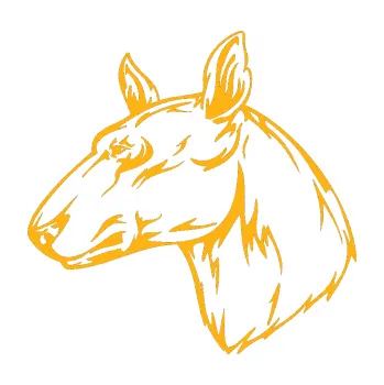 Polep vozidla SAMOLEPKA Pes 010 levá (21 - světle oranžová) NA AUTO, NÁLEPKA, FÓLIE, POLEP, TUNING, VLASTNÍ TEXT, TISK, AUTOSAMOLEPKY.cz, POLEPY, OBRÁZEK, LOGO, SAMOLEPKY