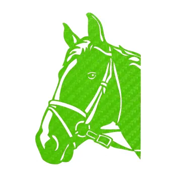 Samolepící dekorace SAMOLEPKA Kůň 028 levá hlava s uzdou (58 - 3D karbon zelený kawasaki) NA AUTO, NÁLEPKA, FÓLIE, POLEP, TUNING, VLASTNÍ TEXT, TISK, AUTOSAMOLEPKY.cz, POLEPY, OBRÁZEK, LOGO, SAMOLEPKY