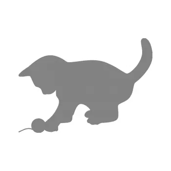 Samolepící dekorace SAMOLEPKA Kočka 002 levá (17 - šedá) NA AUTO, NÁLEPKA, FÓLIE, POLEP, TUNING, VLASTNÍ TEXT, TISK, AUTOSAMOLEPKY.cz, POLEPY, OBRÁZEK, LOGO, SAMOLEPKY