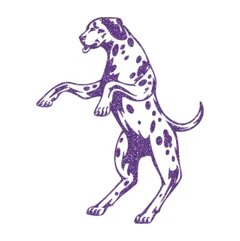 Polep vozidla SAMOLEPKA Pes 003 levá Dalmatin (87 - Ultra Metalic fialová) NA AUTO, NÁLEPKA, FÓLIE, POLEP, TUNING, VLASTNÍ TEXT, TISK, AUTOSAMOLEPKY.cz, POLEPY, OBRÁZEK, LOGO, SAMOLEPKY