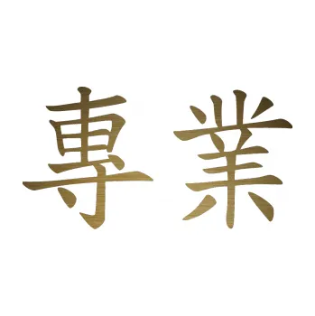 Polep vozidla SAMOLEPKA Čínský znak Professional (64 - škrábaný kov zlatý) NA AUTO, NÁLEPKA, FÓLIE, POLEP, TUNING, VLASTNÍ TEXT, TISK, AUTOSAMOLEPKY.cz, POLEPY, OBRÁZEK, LOGO, SAMOLEPKY