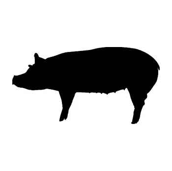 Samolepící dekorace Prase 002 levá (01 - černá) SAMOLEPKA NA AUTO, NÁLEPKA, FÓLIE, POLEP, TUNING, VLASTNÍ TEXT, TISK, AUTOSAMOLEPKY.cz, POLEPY, OBRÁZEK, LOGO, 3D STICKERS