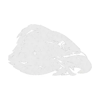 Samolepicí dekorace na vozidlo Predators 064 pravá (84 - Ultra Metalic bílá) SAMOLEPKA NA AUTO, NÁLEPKA, FÓLIE, POLEP, TUNING, VLASTNÍ TEXT, TISK, AUTOSAMOLEPKY.cz, POLEPY, OBRÁZEK, LOGO, 3D STICKERS