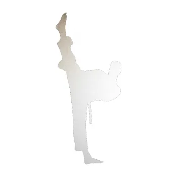 Polep vozidla SAMOLEPKA Karate 005 levá (82 - odrazková reflexní bílá) NA AUTO, NÁLEPKA, FÓLIE, POLEP, TUNING, VLASTNÍ TEXT, TISK, AUTOSAMOLEPKY.cz, POLEPY, OBRÁZEK, LOGO, SAMOLEPKY