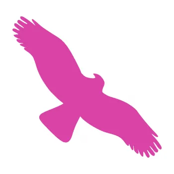 Samolepící dekorace SAMOLEPKA Dravec na sklo 001 pravá (16 - růžová) NA AUTO, NÁLEPKA, FÓLIE, POLEP, TUNING, VLASTNÍ TEXT, TISK, AUTOSAMOLEPKY.cz, POLEPY, OBRÁZEK, LOGO, SAMOLEPKY