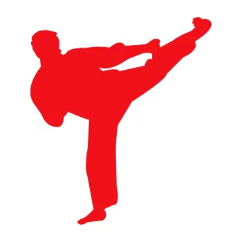 Polep vozidla SAMOLEPKA Karate 008 pravá (10 - červená) NA AUTO, NÁLEPKA, FÓLIE, POLEP, TUNING, VLASTNÍ TEXT, TISK, AUTOSAMOLEPKY.cz, POLEPY, OBRÁZEK, LOGO, SAMOLEPKY