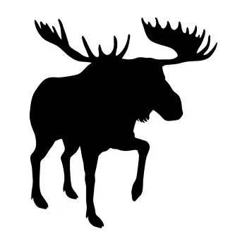 Samolepící dekorace SAMOLEPKA Los 003 pravá (01 - černá) NA AUTO, NÁLEPKA, FÓLIE, POLEP, TUNING, VLASTNÍ TEXT, TISK, AUTOSAMOLEPKY.cz, POLEPY, OBRÁZEK, LOGO, SAMOLEPKY