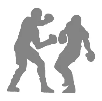 Samolepicí dekorace na vozidlo Boxeři 001 pravá (17 - šedá) SAMOLEPKA NA AUTO, NÁLEPKA, FÓLIE, POLEP, TUNING, VLASTNÍ TEXT, TISK, AUTOSAMOLEPKY.cz, POLEPY, OBRÁZEK, LOGO, 3D STICKERS