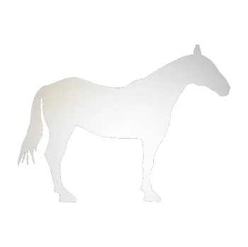 Samolepící dekorace Kůň 005 pravá (82 - odrazková reflexní bílá) SAMOLEPKA NA AUTO, NÁLEPKA, FÓLIE, POLEP, TUNING, VLASTNÍ TEXT, TISK, AUTOSAMOLEPKY.cz, POLEPY, OBRÁZEK, LOGO, 3D STICKERS