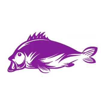 Polep vozidla SAMOLEPKA Ryba 003 levá (14 - fialová) NA AUTO, NÁLEPKA, FÓLIE, POLEP, TUNING, VLASTNÍ TEXT, TISK, AUTOSAMOLEPKY.cz, POLEPY, OBRÁZEK, LOGO, SAMOLEPKY