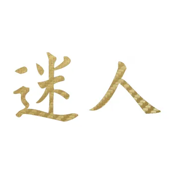 Polep vozidla SAMOLEPKA Čínský znak Attractive (59 - 3D karbon zlatý) NA AUTO, NÁLEPKA, FÓLIE, POLEP, TUNING, VLASTNÍ TEXT, TISK, AUTOSAMOLEPKY.cz, POLEPY, OBRÁZEK, LOGO, SAMOLEPKY