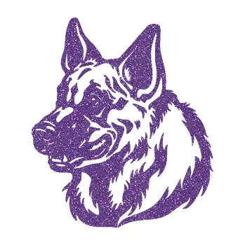 Polep vozidla SAMOLEPKA Pes 123 levá německý ovčák hlava (87 - Ultra Metalic fialová) NA AUTO, NÁLEPKA, FÓLIE, POLEP, TUNING, VLASTNÍ TEXT, TISK, AUTOSAMOLEPKY.cz, POLEPY, OBRÁZEK, LOGO, SAMOLEPKY