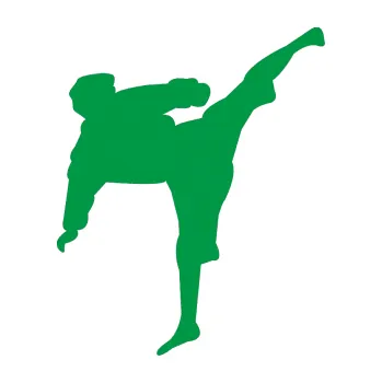 Polep vozidla Karate 009 pravá (12 - zelená) SAMOLEPKA NA AUTO, NÁLEPKA, FÓLIE, POLEP, TUNING, VLASTNÍ TEXT, TISK, AUTOSAMOLEPKY.cz, POLEPY, OBRÁZEK, LOGO, 3D STICKERS