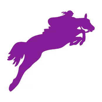 Samolepící dekorace Kůň 084 pravá s jezdkyní (14 - fialová) SAMOLEPKA NA AUTO, NÁLEPKA, FÓLIE, POLEP, TUNING, VLASTNÍ TEXT, TISK, AUTOSAMOLEPKY.cz, POLEPY, OBRÁZEK, LOGO, 3D STICKERS