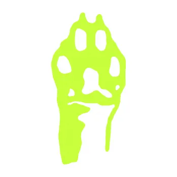 samolepka Packa 001 pravá (27 - limetová) SAMOLEPKA NA AUTO, NÁLEPKA, FÓLIE, POLEP, TUNING, VLASTNÍ TEXT, TISK, AUTOSAMOLEPKY.cz, POLEPY, OBRÁZEK, LOGO, 3D STICKERS