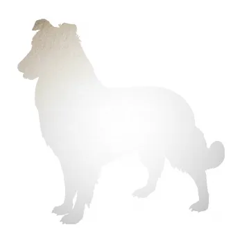 Polep vozidla SAMOLEPKA Pes 084 levá Kolie (82 - odrazková reflexní bílá) NA AUTO, NÁLEPKA, FÓLIE, POLEP, TUNING, VLASTNÍ TEXT, TISK, AUTOSAMOLEPKY.cz, POLEPY, OBRÁZEK, LOGO, SAMOLEPKY