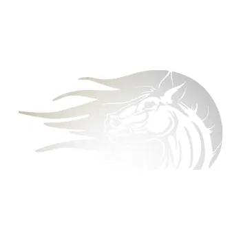 Samolepící dekorace SAMOLEPKA Kůň 073 levá hlava s vlající hřívou (82 - odrazková reflexní bílá) NA AUTO, NÁLEPKA, FÓLIE, POLEP, TUNING, VLASTNÍ TEXT, TISK, AUTOSAMOLEPKY.cz, POLEPY, OBRÁZEK, LOGO, SAMOLEPKY