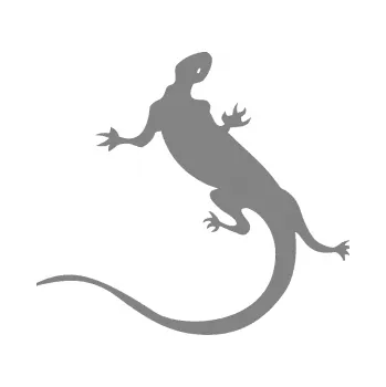 Samolepící dekorace SAMOLEPKA Ještěrka 004 levá (17 - šedá) NA AUTO, NÁLEPKA, FÓLIE, POLEP, TUNING, VLASTNÍ TEXT, TISK, AUTOSAMOLEPKY.cz, POLEPY, OBRÁZEK, LOGO, SAMOLEPKY