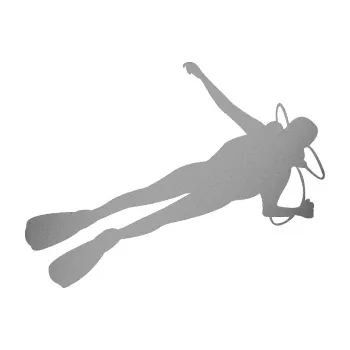 Polep vozidla SAMOLEPKA NA AUTO Potápěč 004 pravá (42 - stříbrná metalíza) NÁLEPKA, FÓLIE, POLEP, TUNING, VLASTNÍ TEXT, TISK, AUTOSAMOLEPKY.cz, POLEPY, OBRÁZEK, LOGO, SAMOLEPKY