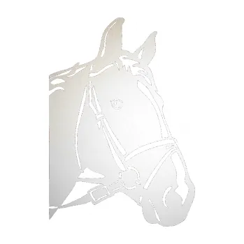 Samolepící dekorace SAMOLEPKA Kůň 028 pravá hlava s uzdou (82 - odrazková reflexní bílá) NA AUTO, NÁLEPKA, FÓLIE, POLEP, TUNING, VLASTNÍ TEXT, TISK, AUTOSAMOLEPKY.cz, POLEPY, OBRÁZEK, LOGO, SAMOLEPKY