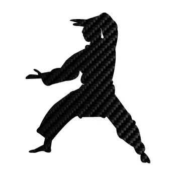 Polep vozidla Karate 006 levá (50 - 3D karbon černý) SAMOLEPKA NA AUTO, NÁLEPKA, FÓLIE, POLEP, TUNING, VLASTNÍ TEXT, TISK, AUTOSAMOLEPKY.cz, POLEPY, OBRÁZEK, LOGO, 3D STICKERS