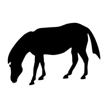 Samolepící dekorace SAMOLEPKA Kůň 006 levá na pastvě (01 - černá) NA AUTO, NÁLEPKA, FÓLIE, POLEP, TUNING, VLASTNÍ TEXT, TISK, AUTOSAMOLEPKY.cz, POLEPY, OBRÁZEK, LOGO, SAMOLEPKY