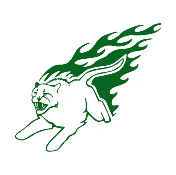 Samolepicí dekorace na vozidlo Animal flames 096 levá puma (20 - tmavě zelená) SAMOLEPKA NA AUTO, NÁLEPKA, FÓLIE, POLEP, TUNING, VLASTNÍ TEXT, TISK, AUTOSAMOLEPKY.cz, POLEPY, OBRÁZEK, LOGO, 3D STICKERS