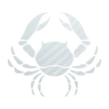 Samolepící dekorace Rak 002 (51 - 3D karbon bílý) SAMOLEPKA NA AUTO, NÁLEPKA, FÓLIE, POLEP, TUNING, VLASTNÍ TEXT, TISK, AUTOSAMOLEPKY.cz, POLEPY, OBRÁZEK, LOGO, 3D STICKERS