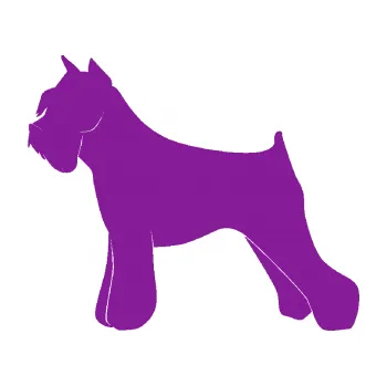 Polep vozidla SAMOLEPKA Pes 091 levá Knírač (14 - fialová) NA AUTO, NÁLEPKA, FÓLIE, POLEP, TUNING, VLASTNÍ TEXT, TISK, AUTOSAMOLEPKY.cz, POLEPY, OBRÁZEK, LOGO, SAMOLEPKY