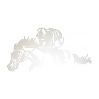Samolepící dekorace SAMOLEPKA Kůň 075 levá závod s jezdcem, dostihy (82 - odrazková reflexní bílá) NA AUTO, NÁLEPKA, FÓLIE, POLEP, TUNING, VLASTNÍ TEXT, TISK, AUTOSAMOLEPKY.cz, POLEPY, OBRÁZEK, LOGO, SAMOLEPKY