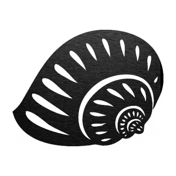 Samolepící dekorace SAMOLEPKA Mušle 004 levá ulita (63 - škrábaný kov černý) NA AUTO, NÁLEPKA, FÓLIE, POLEP, TUNING, VLASTNÍ TEXT, TISK, AUTOSAMOLEPKY.cz, POLEPY, OBRÁZEK, LOGO, SAMOLEPKY