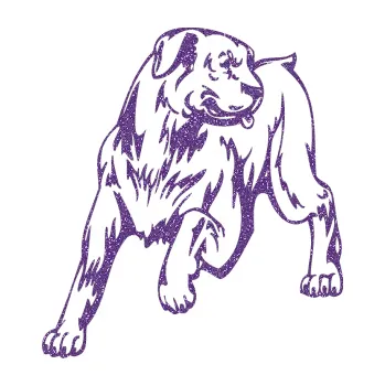 Polep vozidla SAMOLEPKA Pes 020 levá (87 - Ultra Metalic fialová) NA AUTO, NÁLEPKA, FÓLIE, POLEP, TUNING, VLASTNÍ TEXT, TISK, AUTOSAMOLEPKY.cz, POLEPY, OBRÁZEK, LOGO, SAMOLEPKY